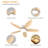 42" 5 - Blade Dimmable LED Reversible Ceiling Fan With Light And Remote Control-1424641270-1424641271