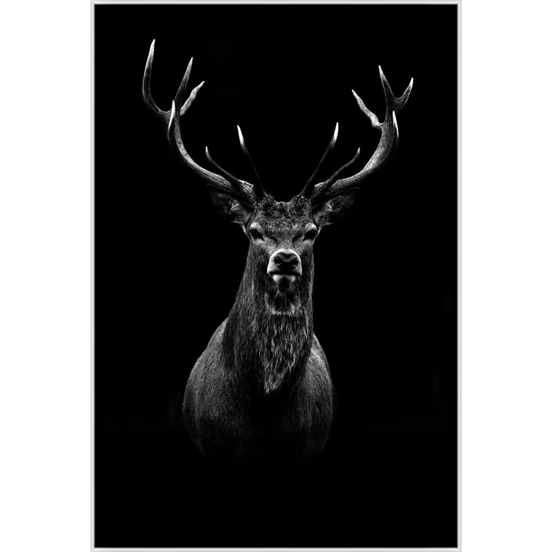 " Deer Shadows 1 "