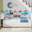 Single (3') Iron Daybed-329443707
