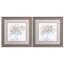 Ensemble de deux reproductions d'art encadrées brun Birch Grove