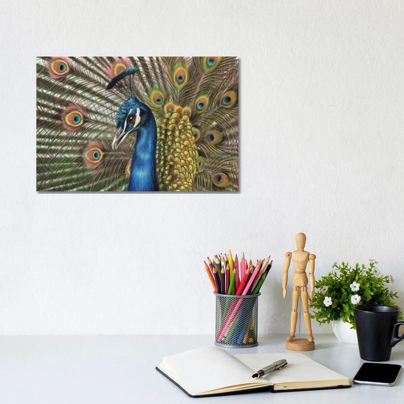 Peacock by Richard Macwee - Gallery-Wrapped Canvas Giclée on Canvas, 20.32 cm H x 30.48 cm W, Canvas