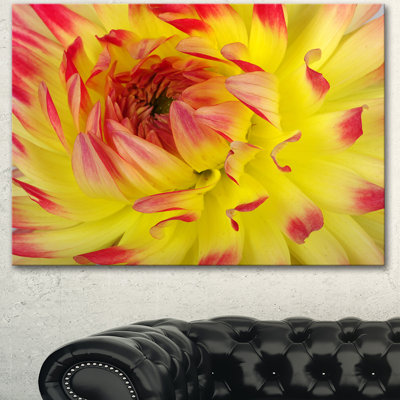 «Smooth Yellow Red Flower Petals», reproduction de photo sur toile tendue