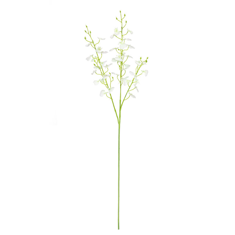 Vaporisateur d'orchidées dansantes, Blanc crème