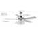 52'' Ceiling Fan with Light Kit