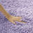 Delane Area Rug-804067415-700358673