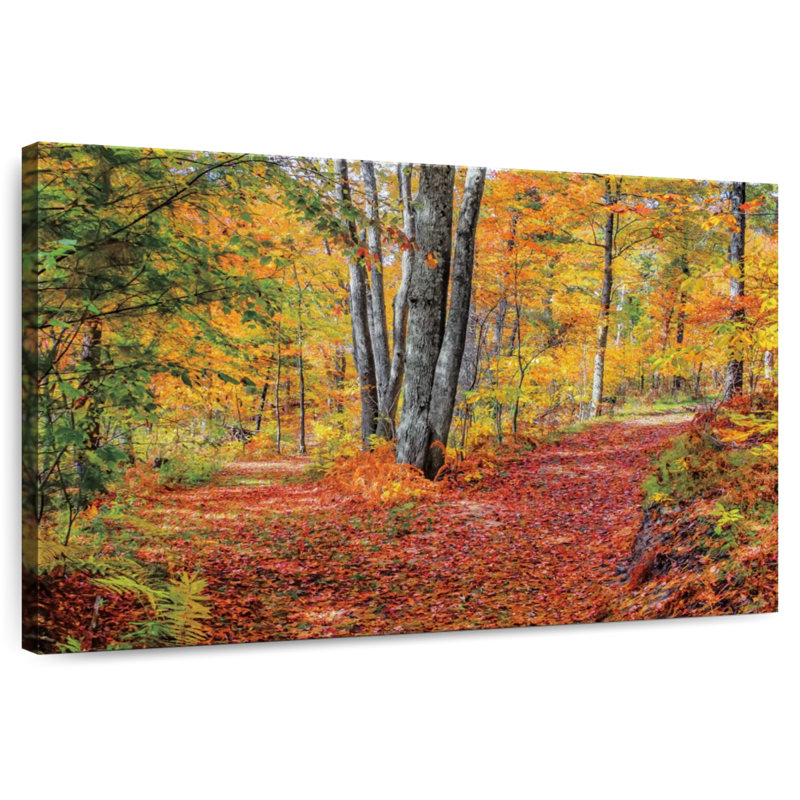 Alvord Autumn In The Woods, 24" H x 36" W
