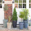 Pot Planter-1330104279-1330104282