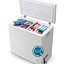 WANAI 6.0 Cu.Ft Chest Freezer FreeStanding Top Door Compact Small Deep Mini Freezer with 3 Removable Baskets, Wheels & Adjustable Feet, 7 Temp Control from -11.2℉ to 50℉, White-129295142