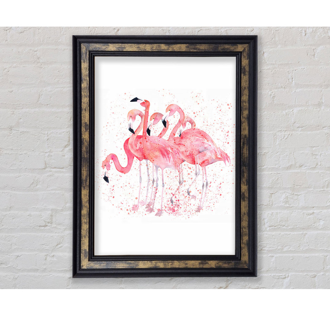 Pink Flamingo Splash - Einzelner Bilderrahmen Kunstdrucke