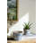 S/2 Ceramic Planters with Floral Motif