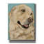  «Jasper» par Pat Saunders, art mural en toile blanche, 40 po x 54 po-395700601