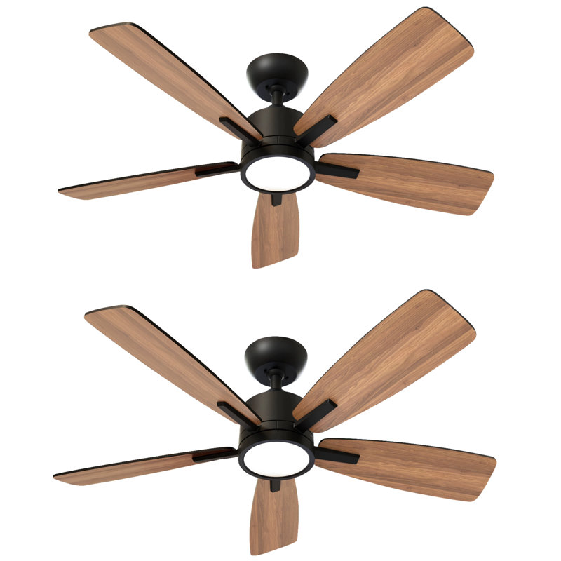 42'' Ceiling Fan With LED Lights for  Medium Rooms (Set of 2), Black