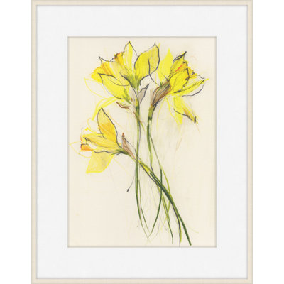 Daffodils 1 Print by Claudia Lowry