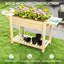 Elevated Planter