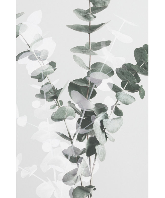 1 Piece Wrapped Canvas Wall Art, 81.28cm H x 121.92cm W
