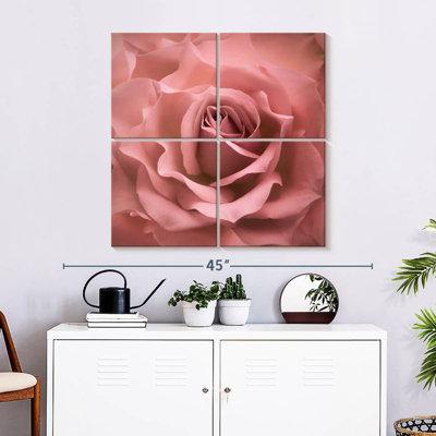 Rose brumeux Harnek
