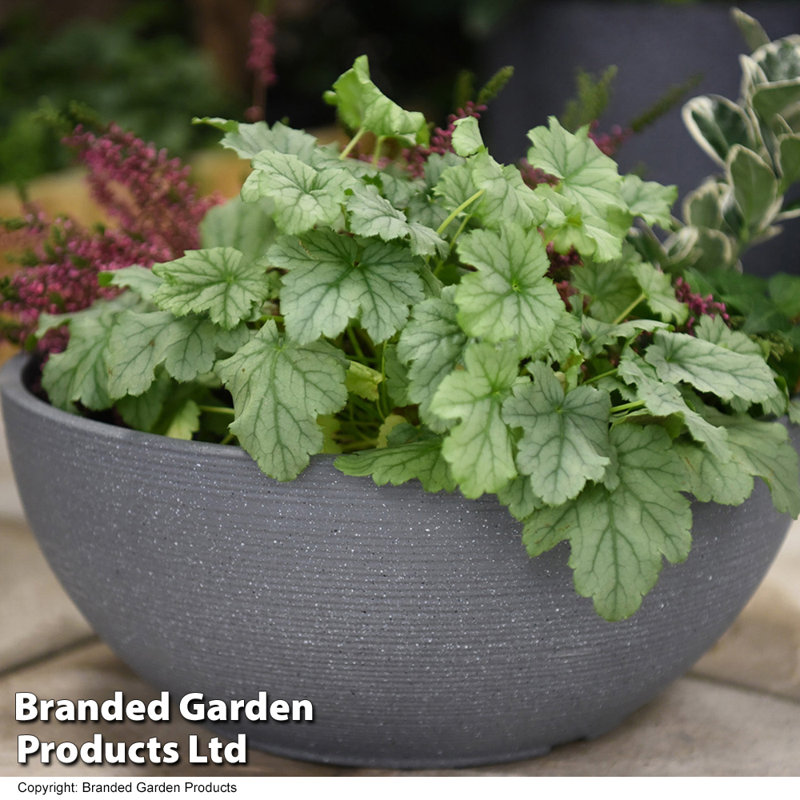 Bayadere Plant Pot - Twin Pack, Dark Grey