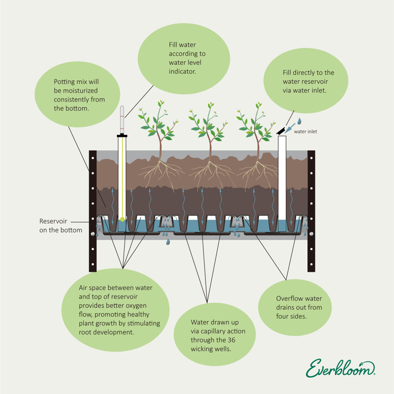Self-Watering Elevated Planter with Trellis