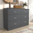 Allyannah 47" W 6-Drawer Manufactured Wood Double Dresser with Interlocking Drawers-1048630005