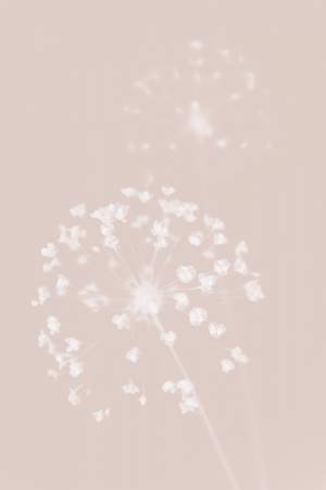 Wrapped Canvas Print, 76.2 cm H x 50.8 cm W
