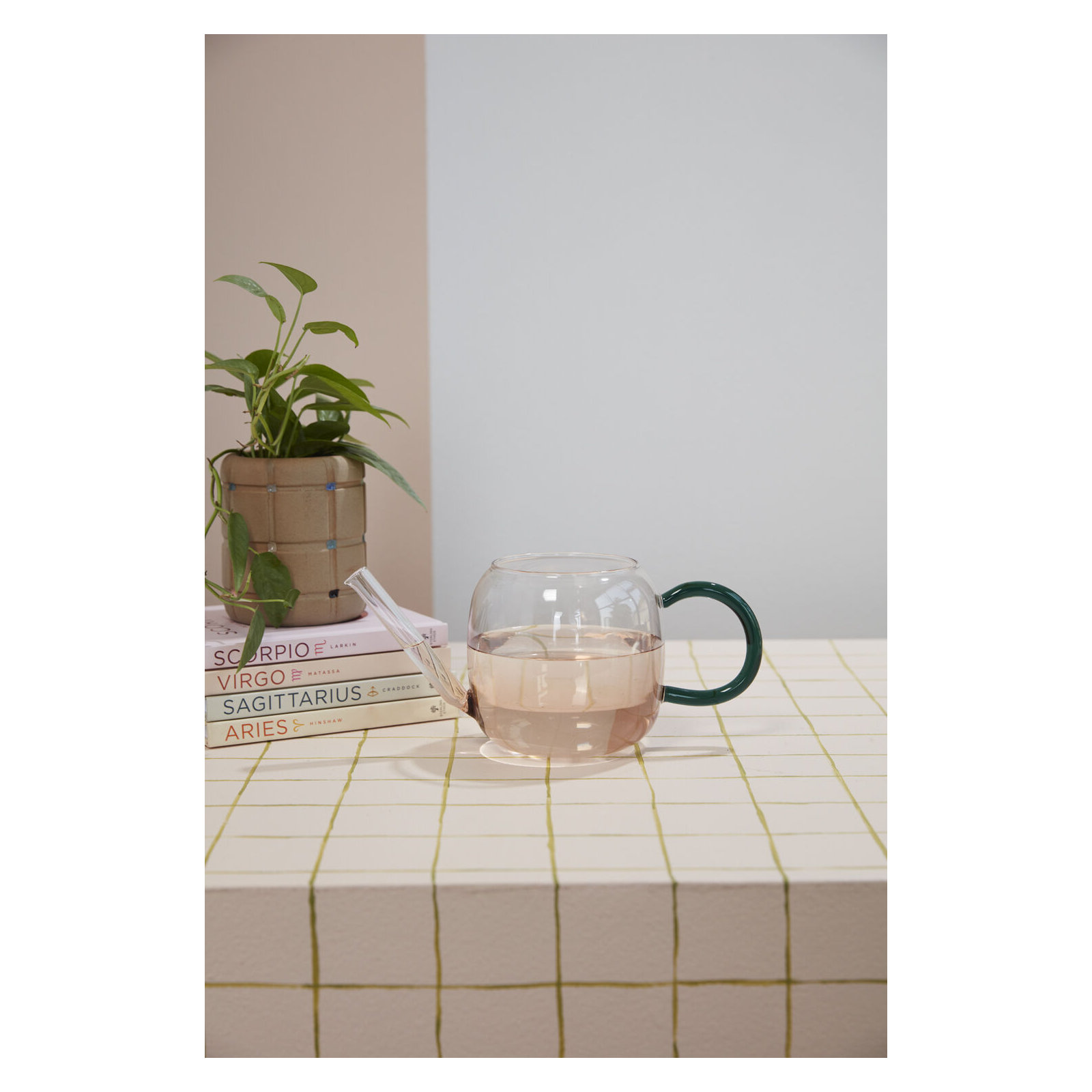 Mervin Watering Can 10.5"x 4.5"x 4.75"