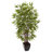 Bamboo Tree with Planter-1223083804