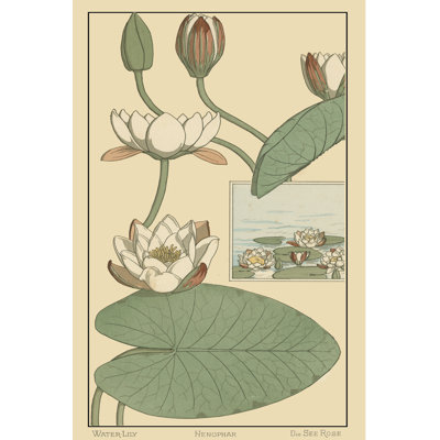 Water Lily II - Wrapped Canvas Art Prints