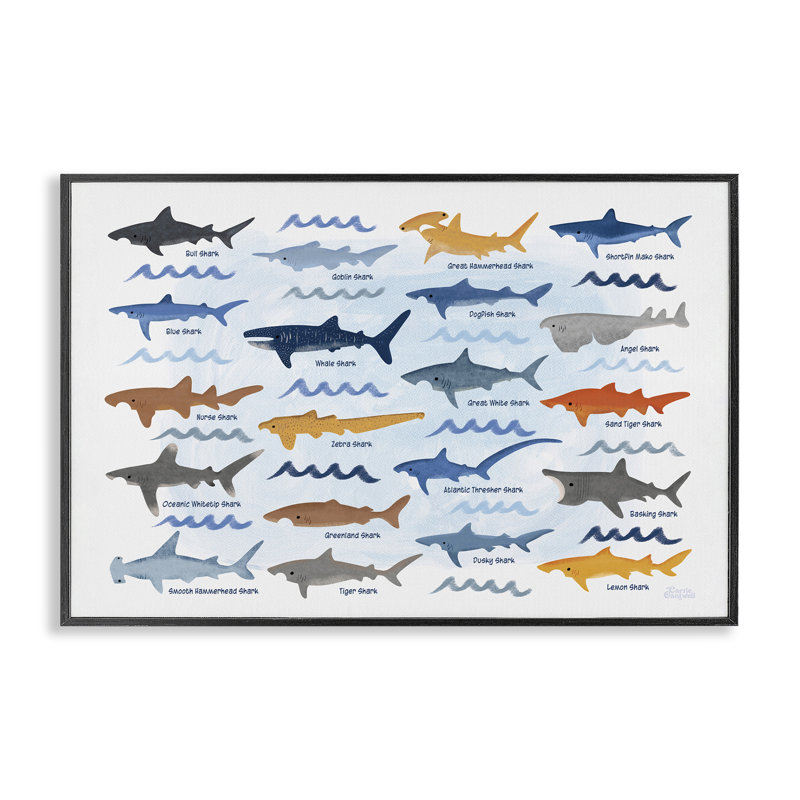 Variétés de requins variées, estampe numérique de Carrie Cantwell, H 12 po x l 18 po, Giclée encadrée noir minuit