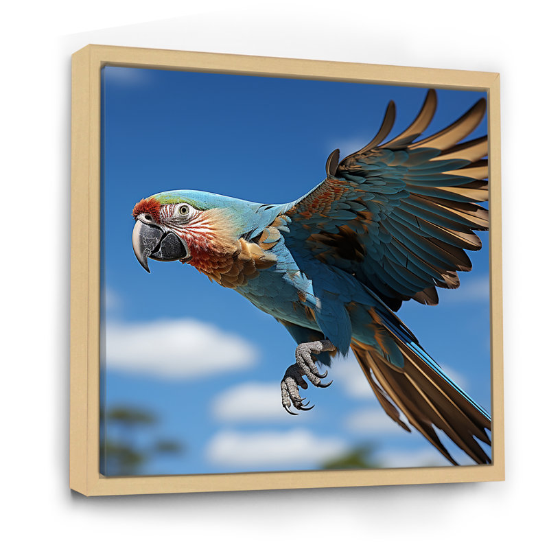 Perroquets ailes de beauté I sur toile, Cadre naturel flottant, H 30 po x l 30 po