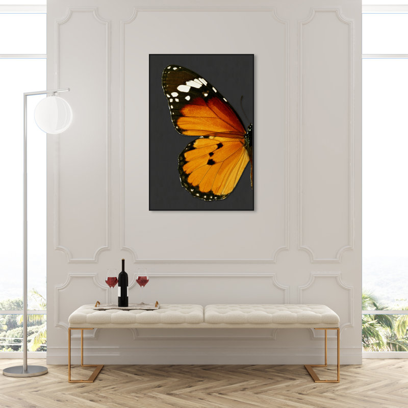 Monarque et papillon gris I - cadre flottant, impression sur toile, H 45 po x l 30 po, Cadre noir