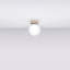 Yoli Steel Flush Mount-1487879168-1487879186-1487879188