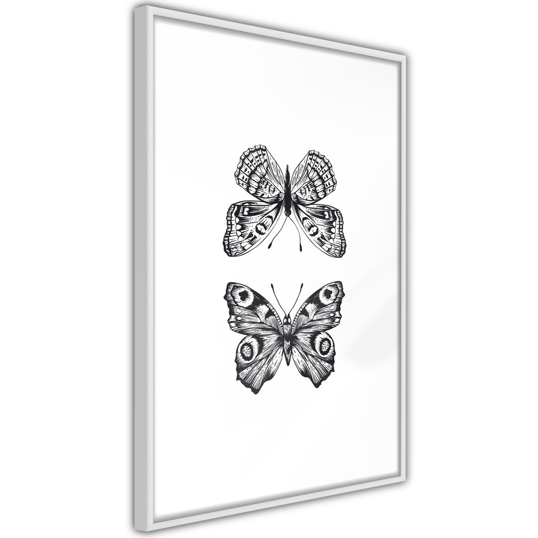 Gerahmtes Poster Butterfly Collection I