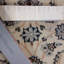 Plamedi Oriental Area Rug in Beige