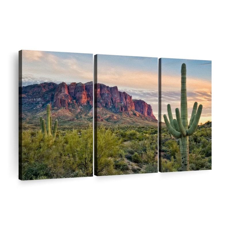 Mountain Cacti View II sur toile, 3 pièces, H 28 po x l 45 po