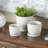 Cole And Grey 3 Piece Ceramic Abstract Circle Patterned Planter With Brown Accents And Base Tray Set