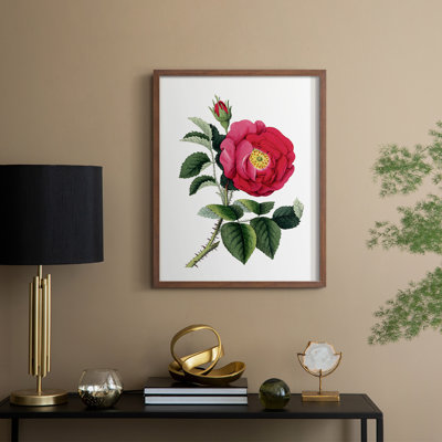 «Botanical Beauty I», reproduction encadrée - bois massif