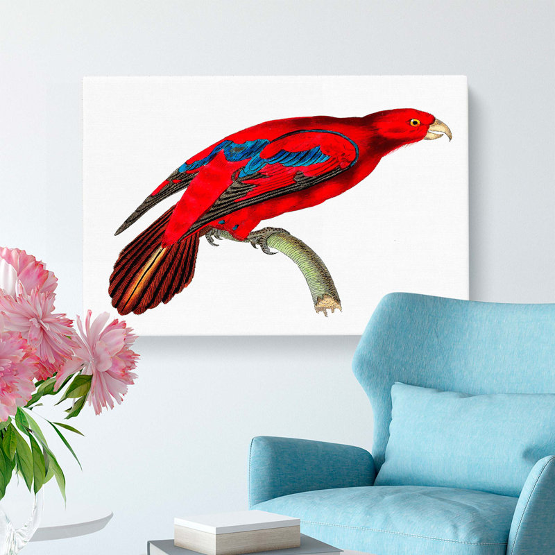Blue-tipped Lory by George Shaw - Wrapped Canvas, 35cm H x 50cm W x 3cm D