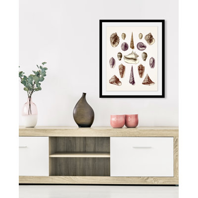 Shell - Single Picture Frame Print