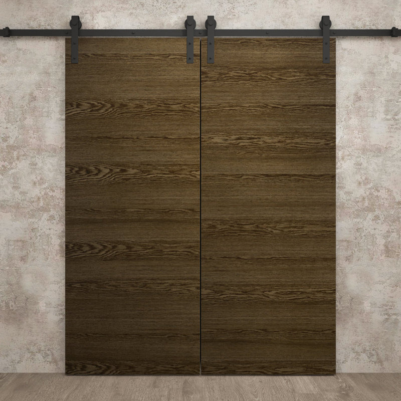 Porte de grange double moderne | Ego 5000 | Ensemble de rails | Portes intérieures solides, Chêne marbré, 56 po x 84 po