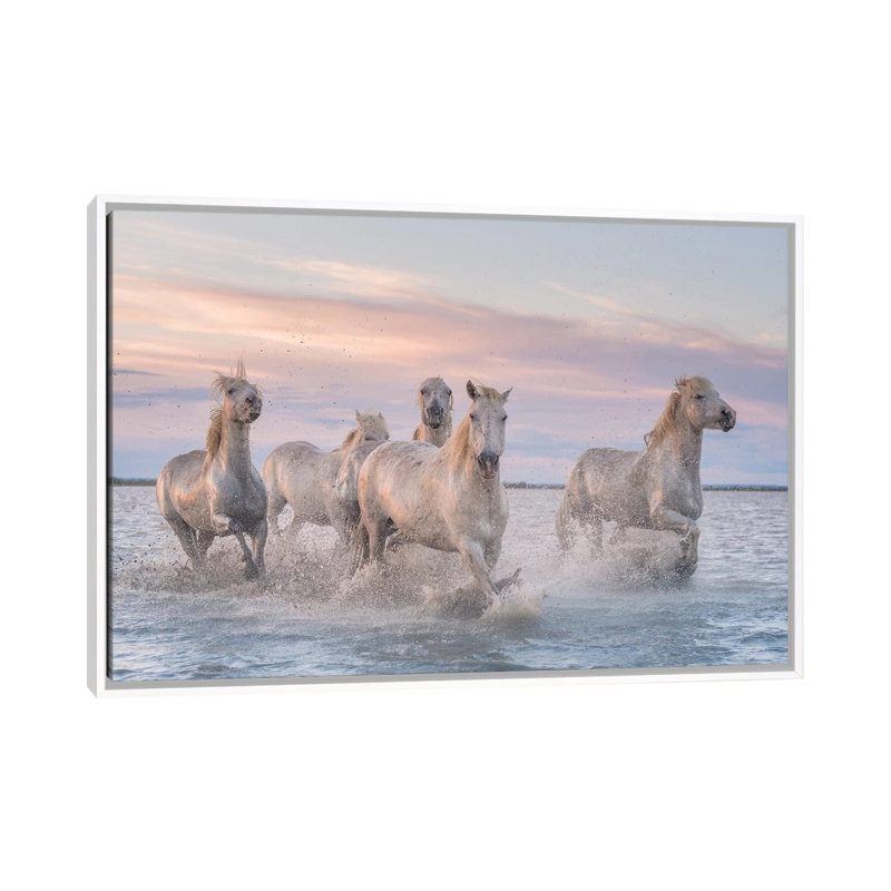 White Angels Of Camargue XXXI by Daniel Kordan - Print on Canvas, White Framed, 66.04 cm H x 45.72 cm W