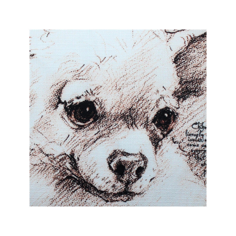 Coussin Chihuahua