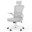 Mesh Office Chair with Headrest-766537659