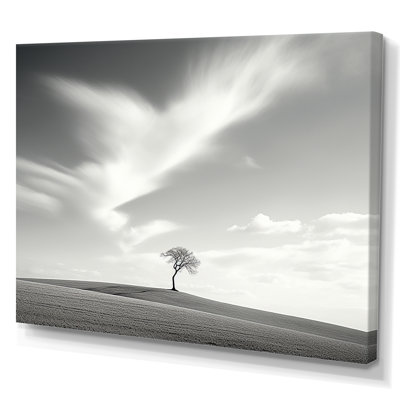 " Black And White Solitude Tree In Meadow "