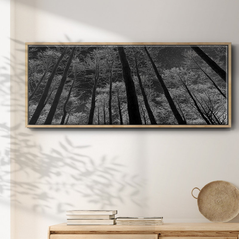 Night Sky- Framed Canvas