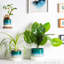 Nicola Spring - Reactive Glaze Plant Pot-63880881-63880888