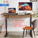 Laib Electric Height Adjustable Standing Desk with 4 Lockable Casters, 2 Hooks