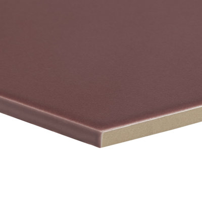 9'' W x 7.8'' L Porcelain Singular Tile