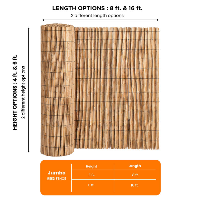 Clôture en roseau naturel de très grande taille de H 6 pi x l 16 po, cloison décorative