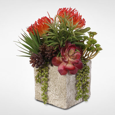 Faux Succulent Plant in Concrete Pot