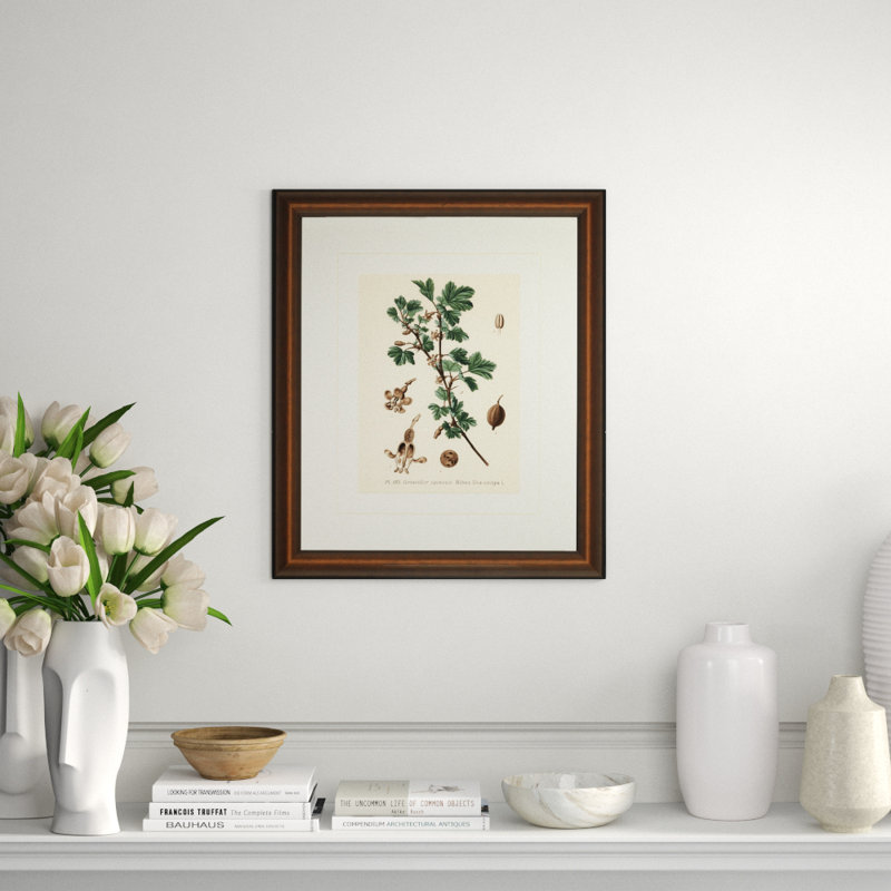 Verde Tinted Botanical IV Print
